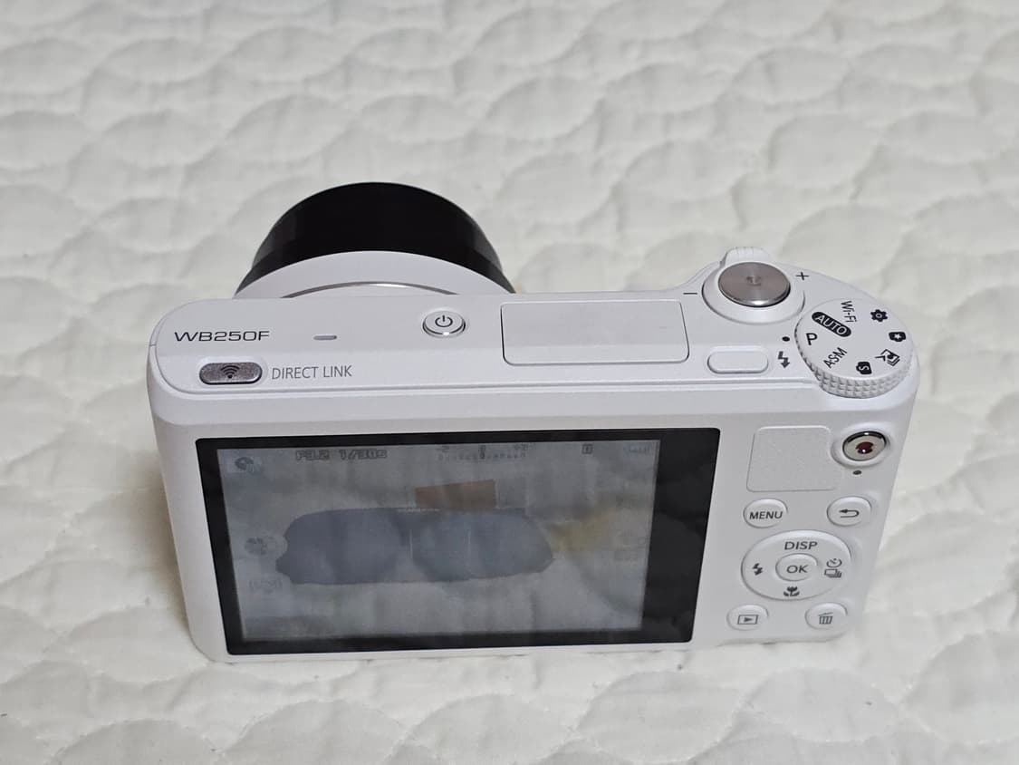 삼성 WB250F 디지털카메라(18배줌) 상품이미지7