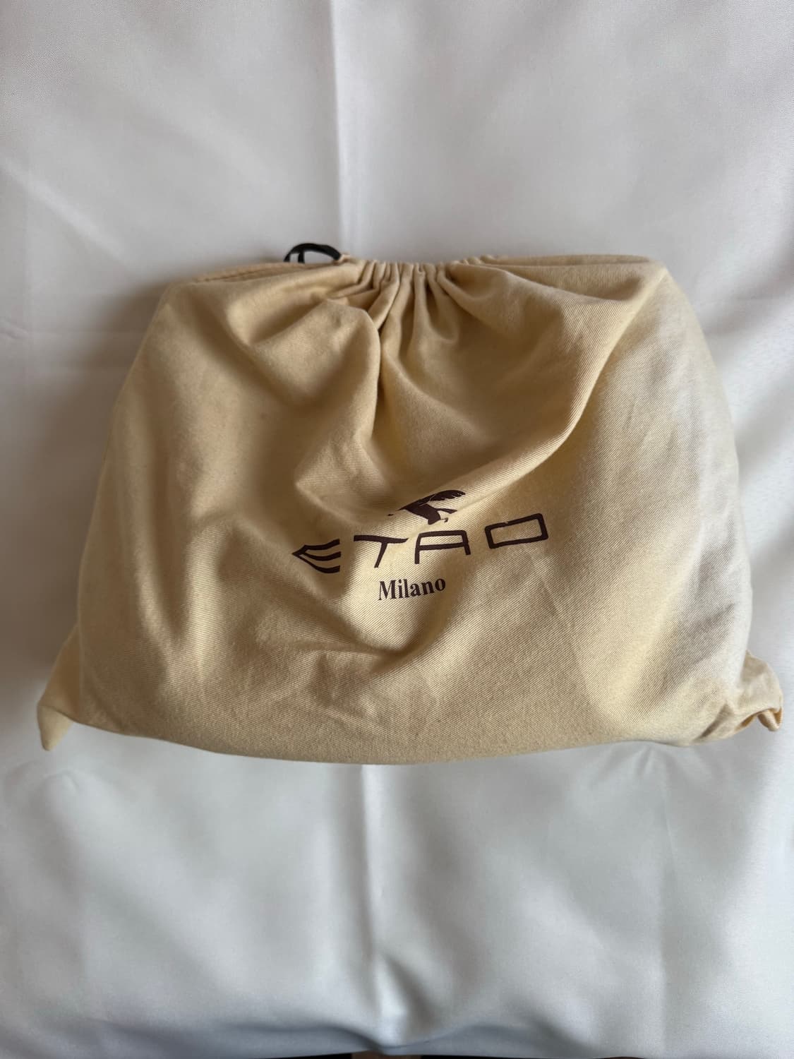 에트로 페이즐리 호보백 상품이미지3