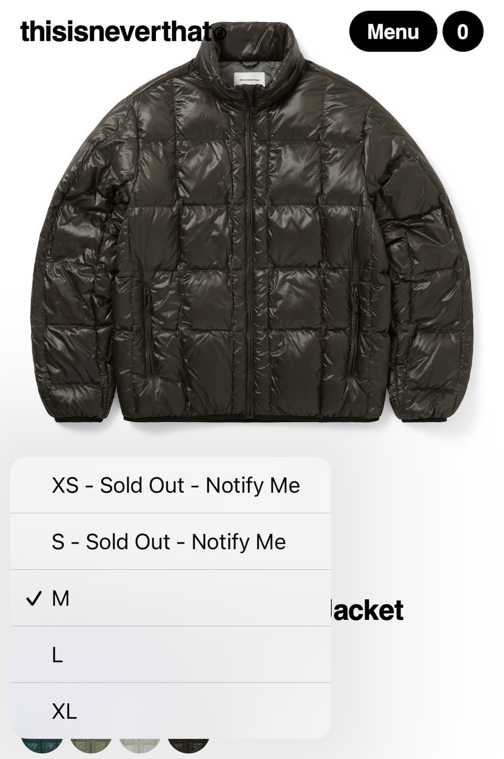 디스이즈네버댓 퍼텍스 라이트 다운 자켓 pertex light down 상품이미지2