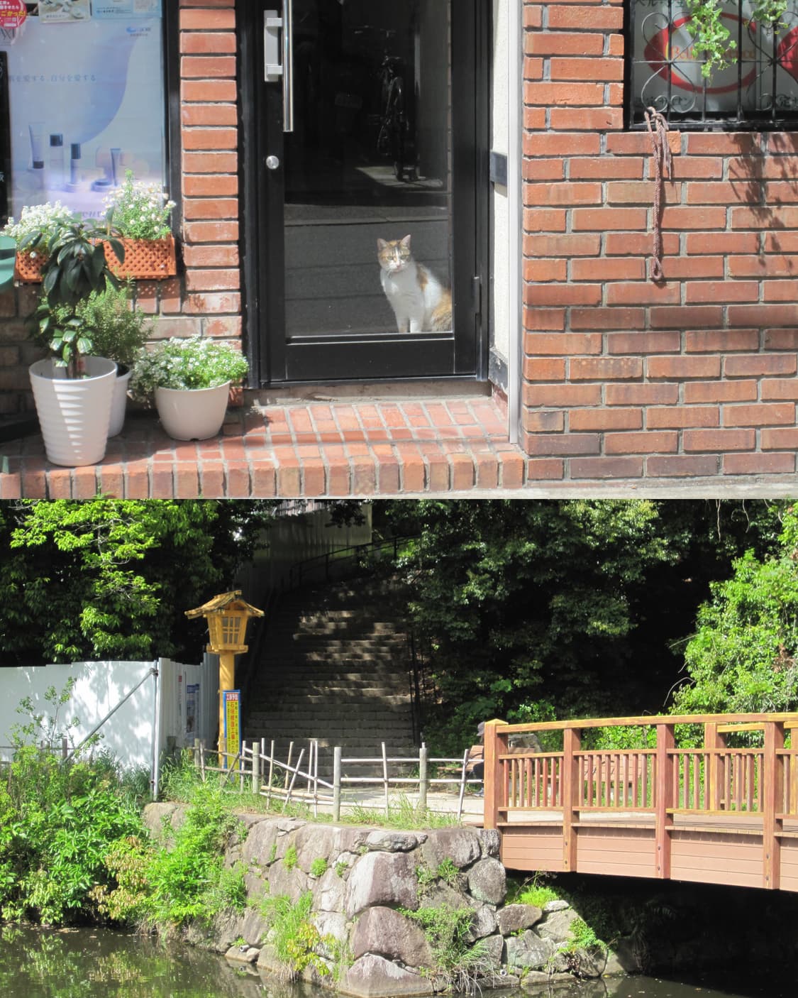 익서스 IXUS100 (작례 O) 상품이미지9