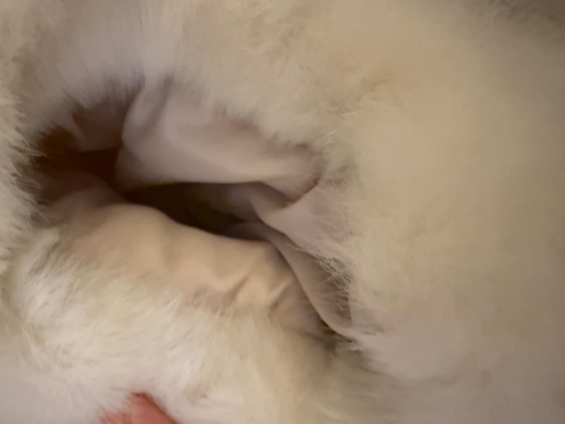 [STYLENANDA] 송치 무스탕 퍼 자켓 fur jacket 상품이미지6