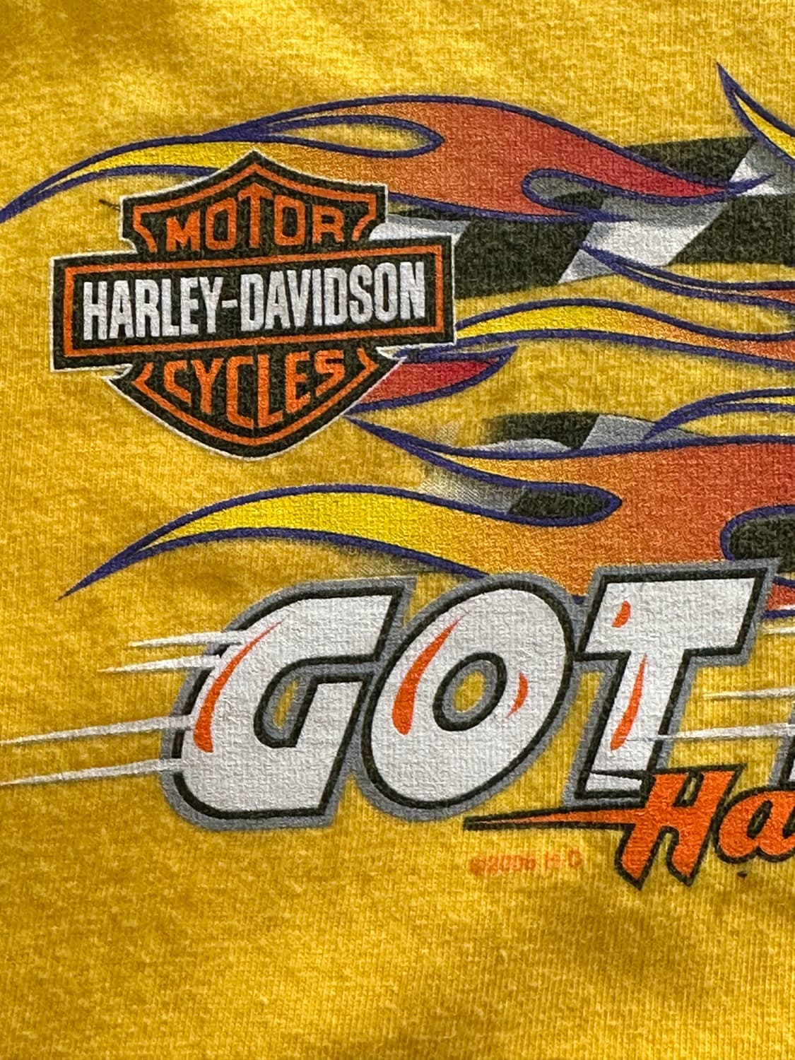 할리데이비슨 x 루니툰즈 '로드러너‘ GOT SPEED - 2XL 상품이미지4