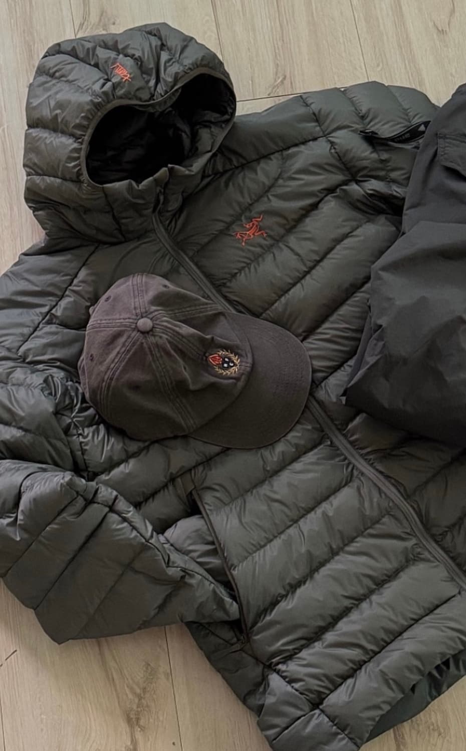 [L] 아크테릭스 세륨 포리지 베르베 상품이미지1