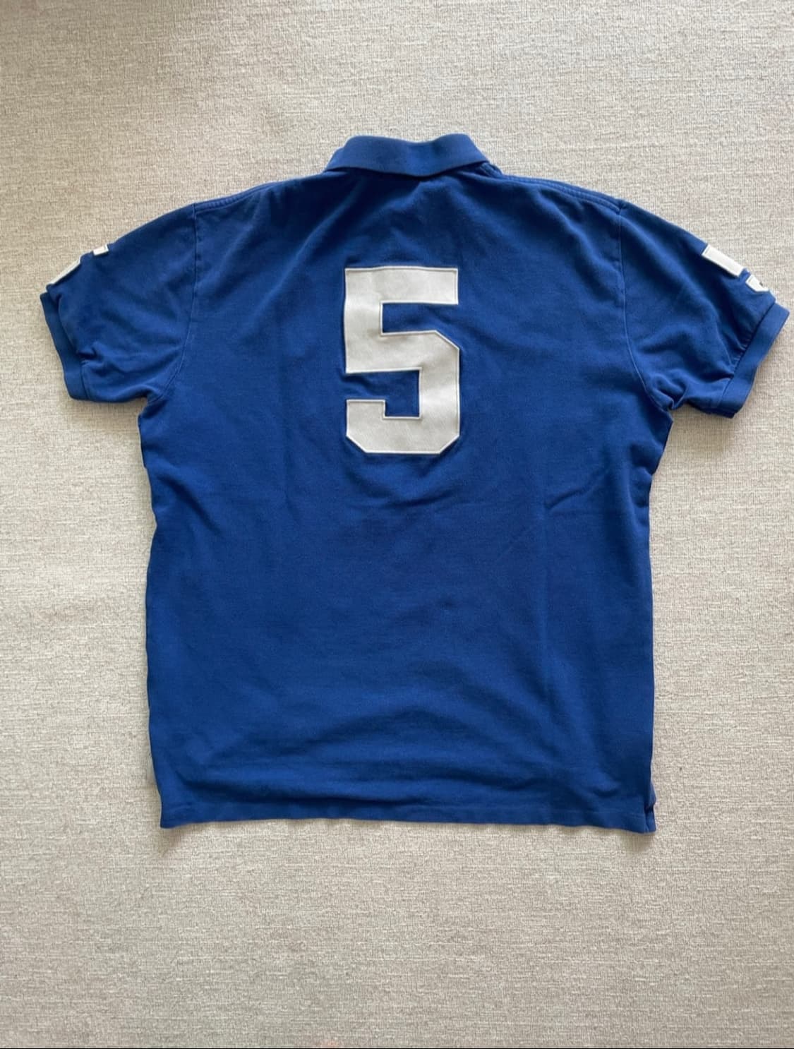 Polo Ralph Lauren

폴로 랄프로렌 빅포니 치프키프 파리 상품이미지2