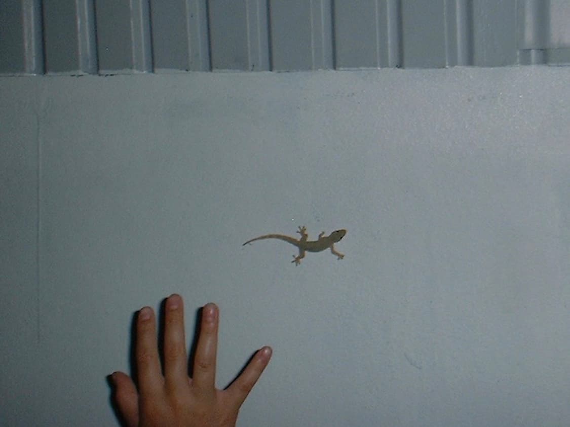 파인픽스 mx 1200 + 멀티리더기 상품이미지1