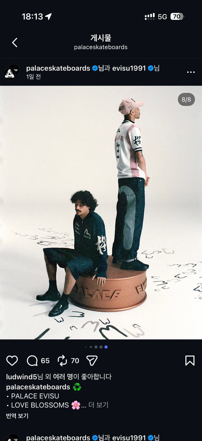 Palace x Evisu 콜라보 집업니트 상품이미지5