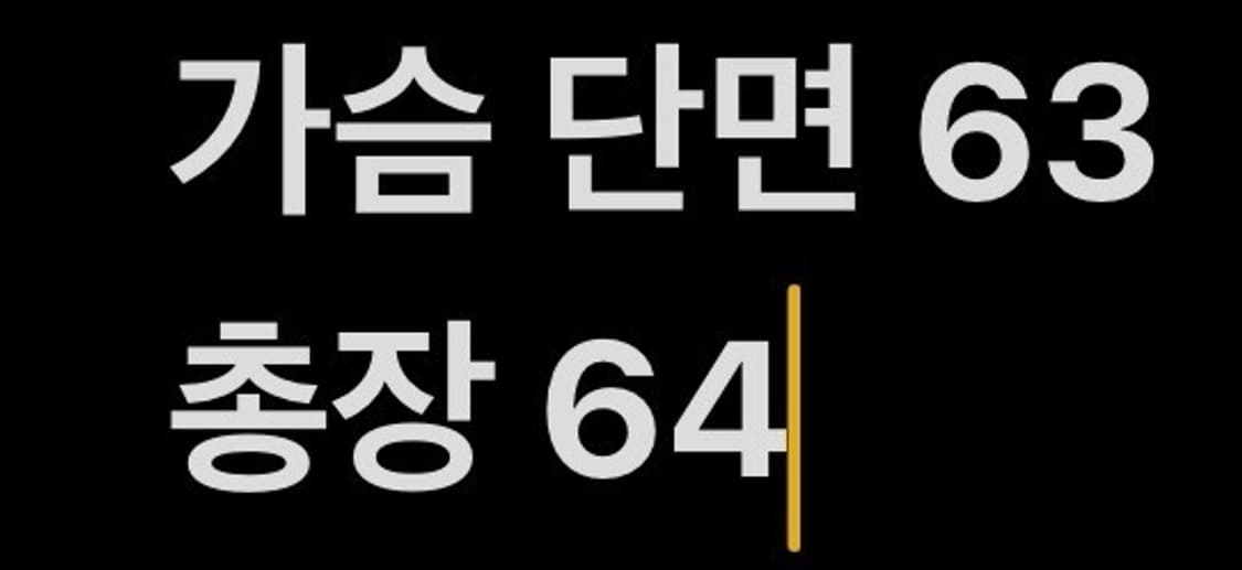 [정품/LL] 클라우디오 발렌티노 니트 로고 맨투맨 b15 상품이미지8