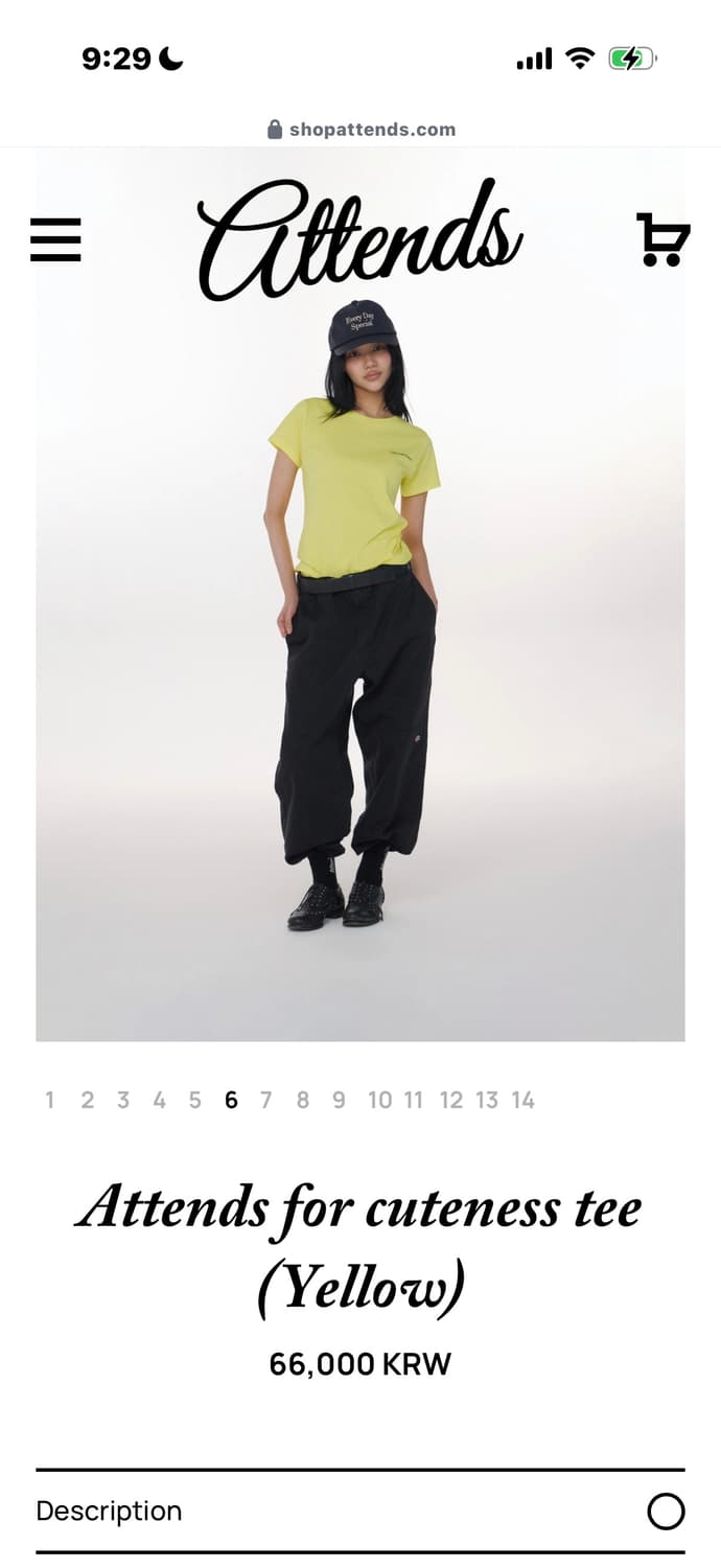 Attends for cuteness tee 어텐즈 반팔 상품이미지3