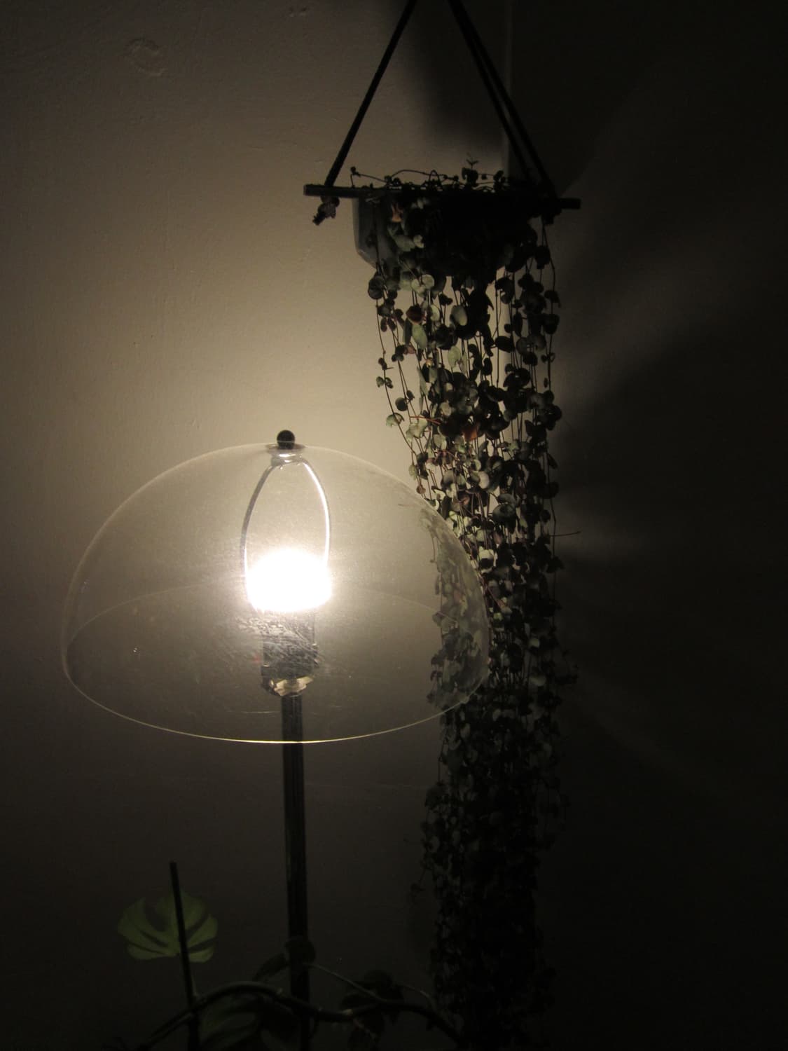 캐논 PowerShot A2200 / 가볍게 쓰기 좋은 클래식 감성 디카 상품이미지5