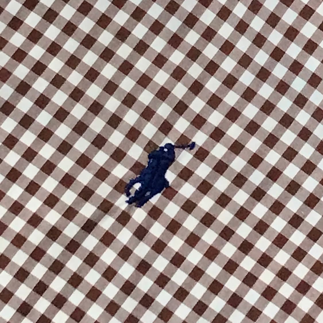 폴로랄프로렌 브라운 깅엄 체크 코튼 셔츠 남성 105 사이즈 상품이미지4