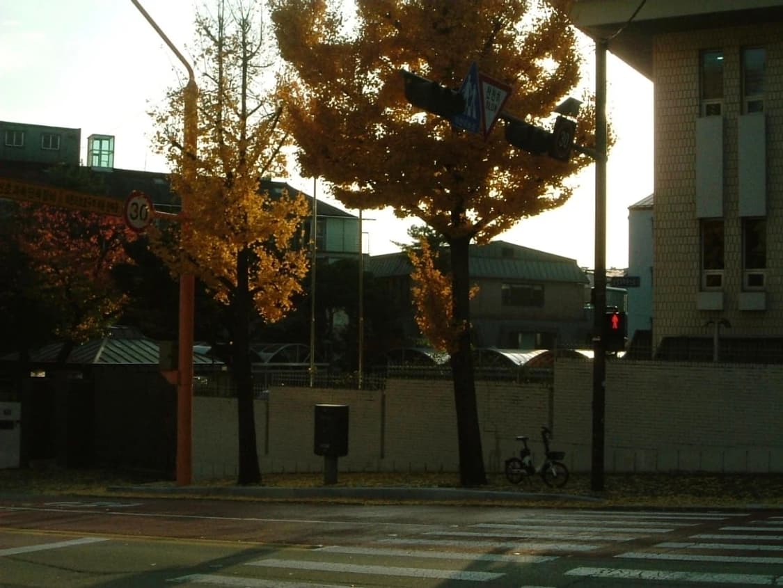 작례💿후지필름 FinePix F401 ✨ 감성 레트로 디카 상품이미지9