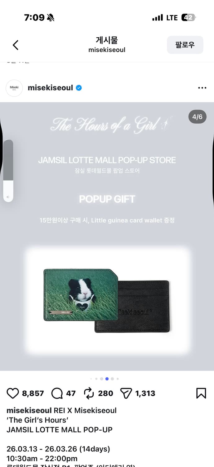 미세키서울 기니카드지갑 상품이미지1