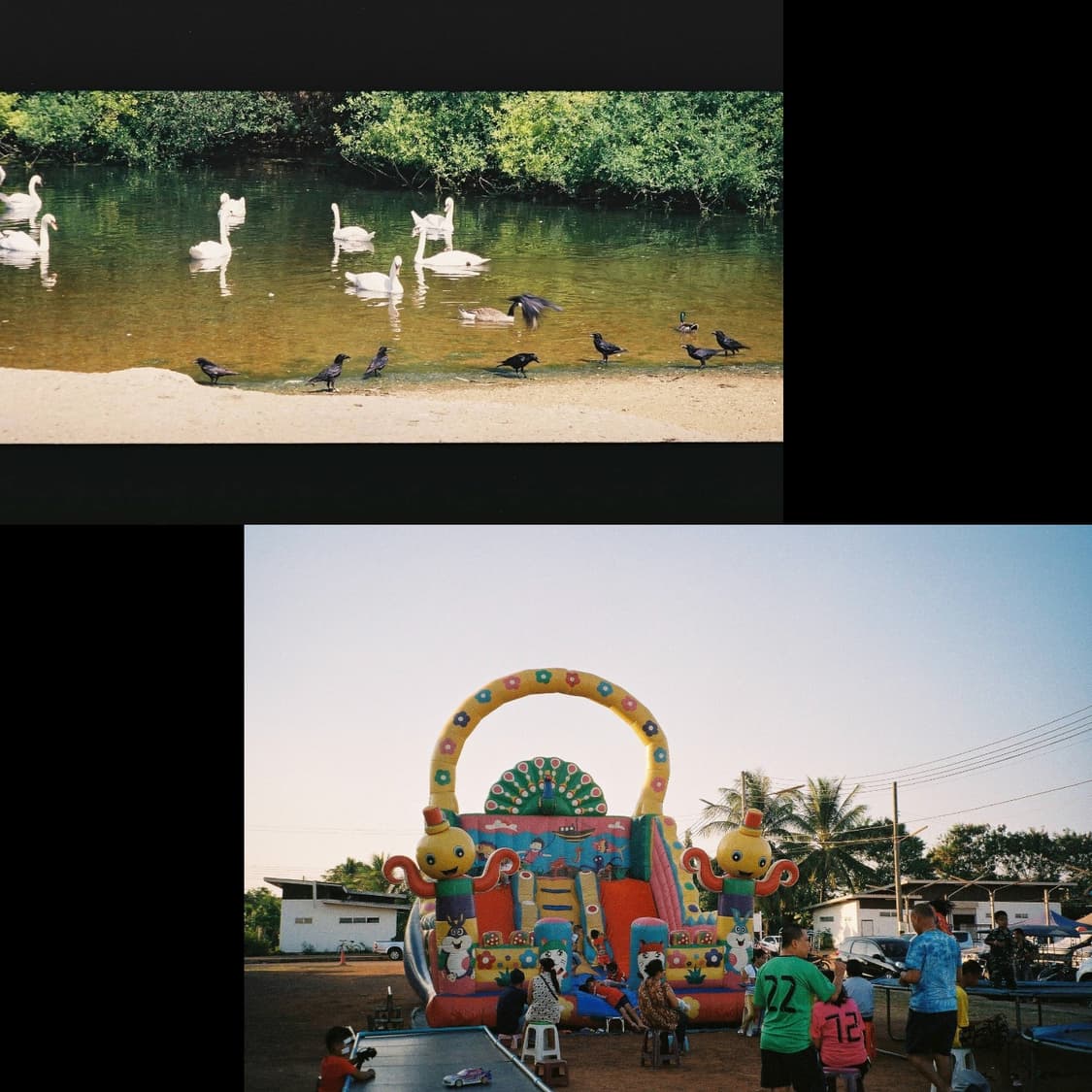 펜탁스 에스피오 170sl (작례 0) 상품이미지4