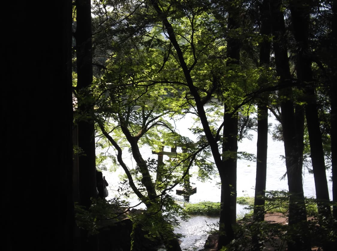 ✨빈티지 디카✨ 후지필름 파인픽스 finefix JX400 (작례o) 상품이미지5