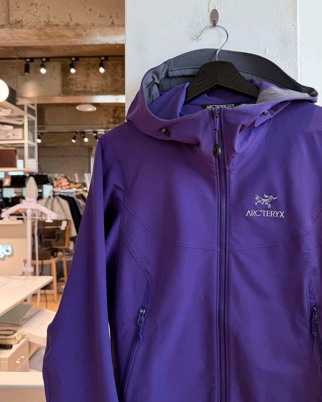 아크테릭스 퍼플 감마 LT 후디 자켓 상품이미지4