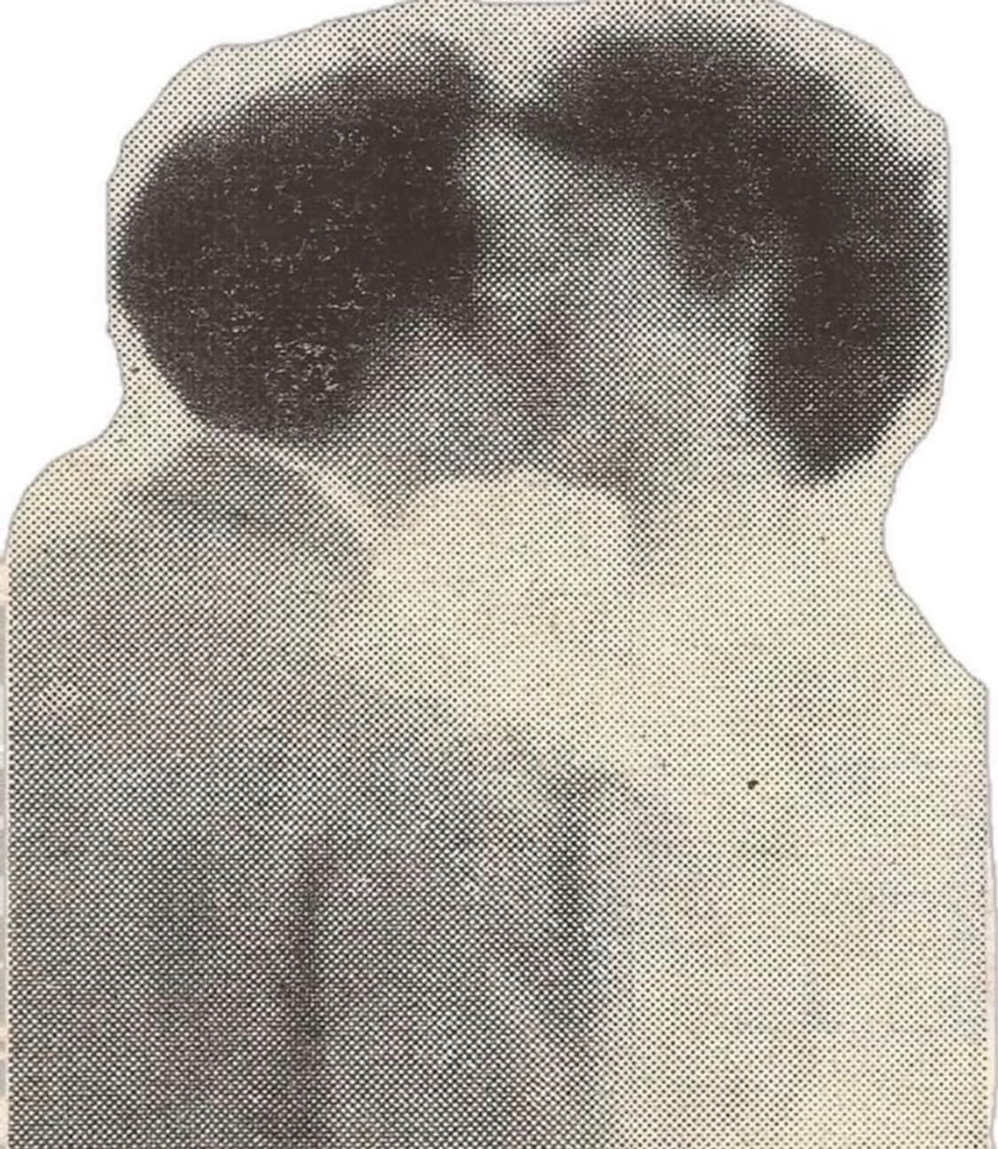 hoseung 님 결제창 상품이미지1