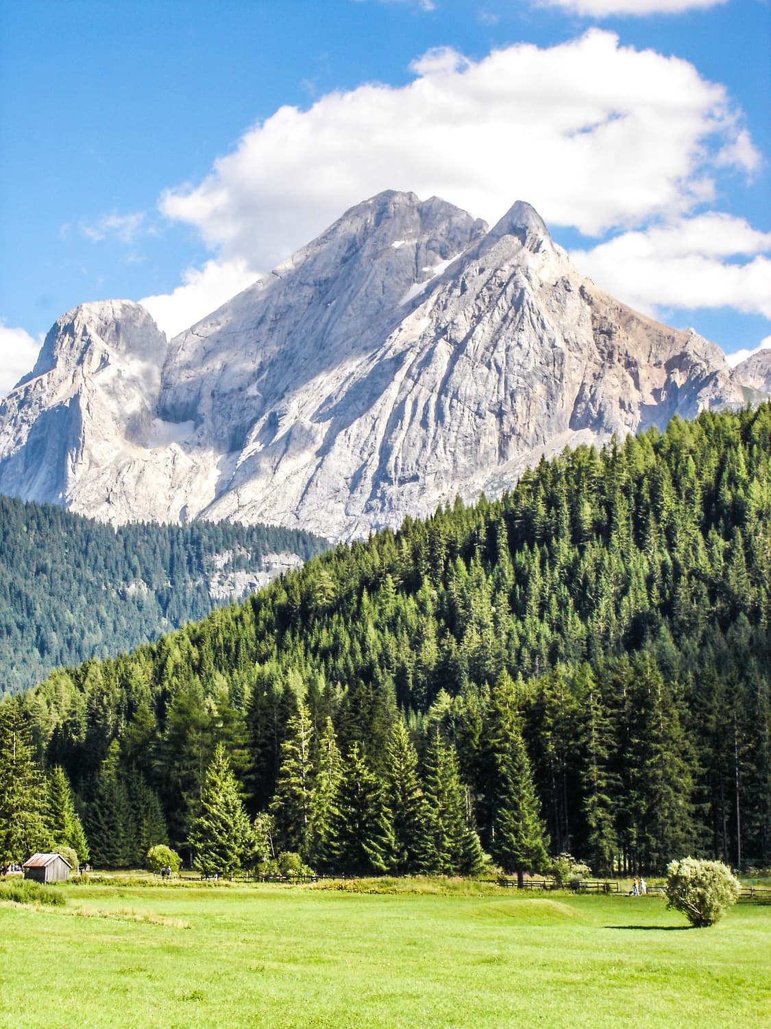 작례O 칼자이스 명품 렌즈 소니 사이버샷 dsc-w1 디지털카메라 빈티지 상품이미지6