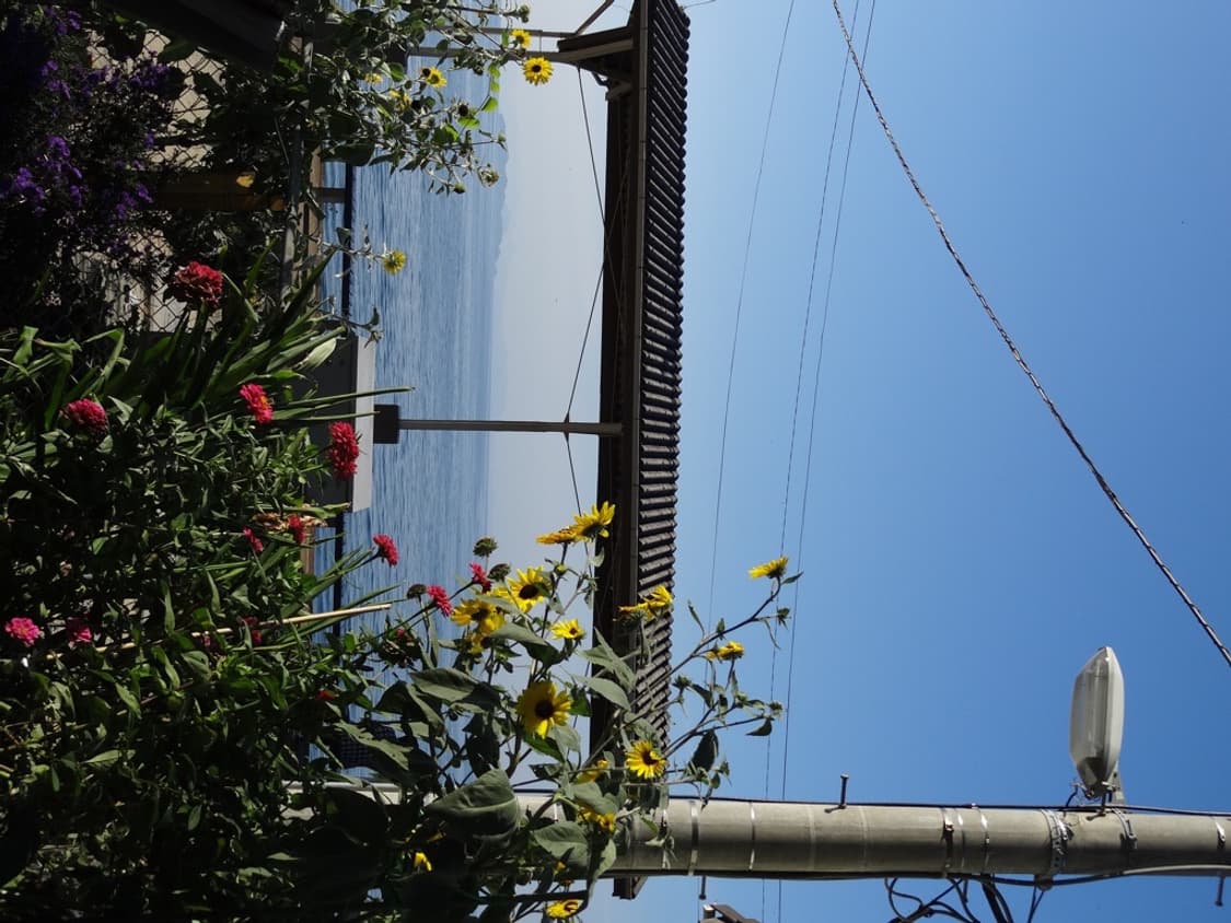 (슈퍼줌) 소니 사이버샷 DSC-HX10V 상품이미지8