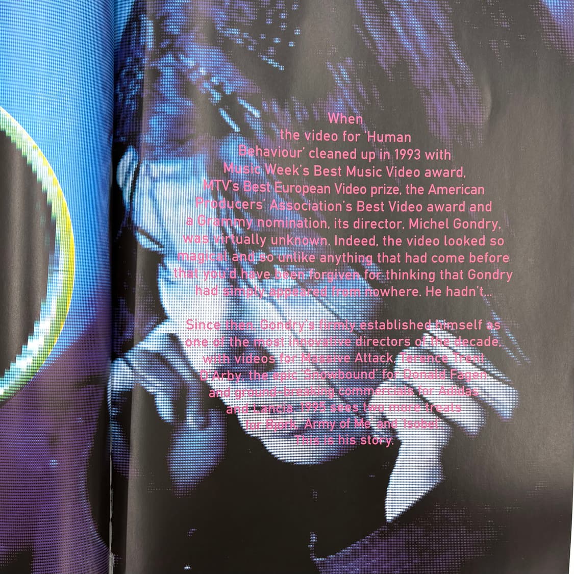 Björk Post Book (1995) 비요크 상품이미지6