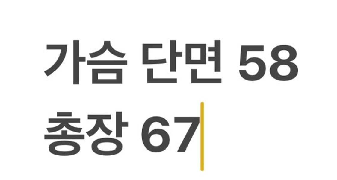 [정품/XL] 내셔널지오그래픽 경량 패딩 자켓 회색 b16 상품이미지9