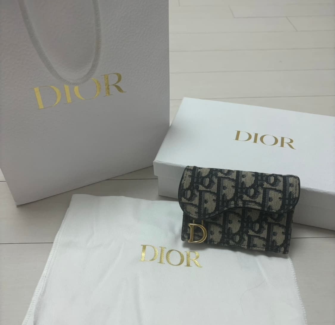 디올 오블리크 새들 카드지갑 상품이미지1