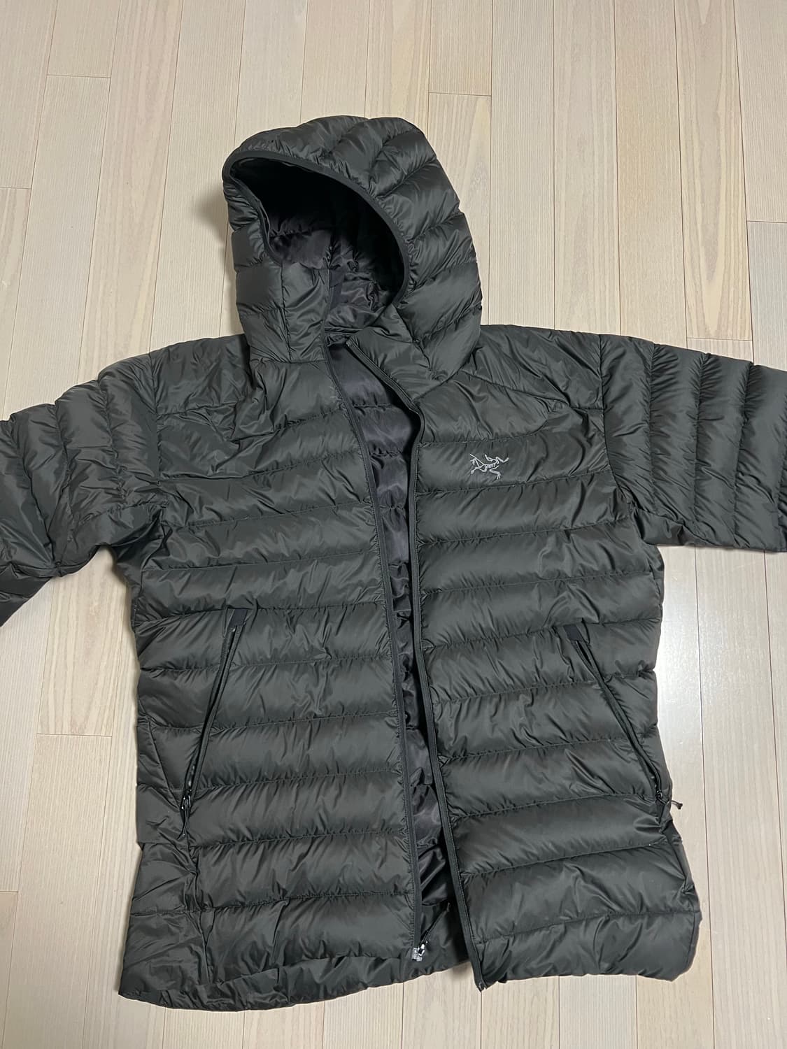 아크테릭스 세륨 후디 m black 상품이미지3