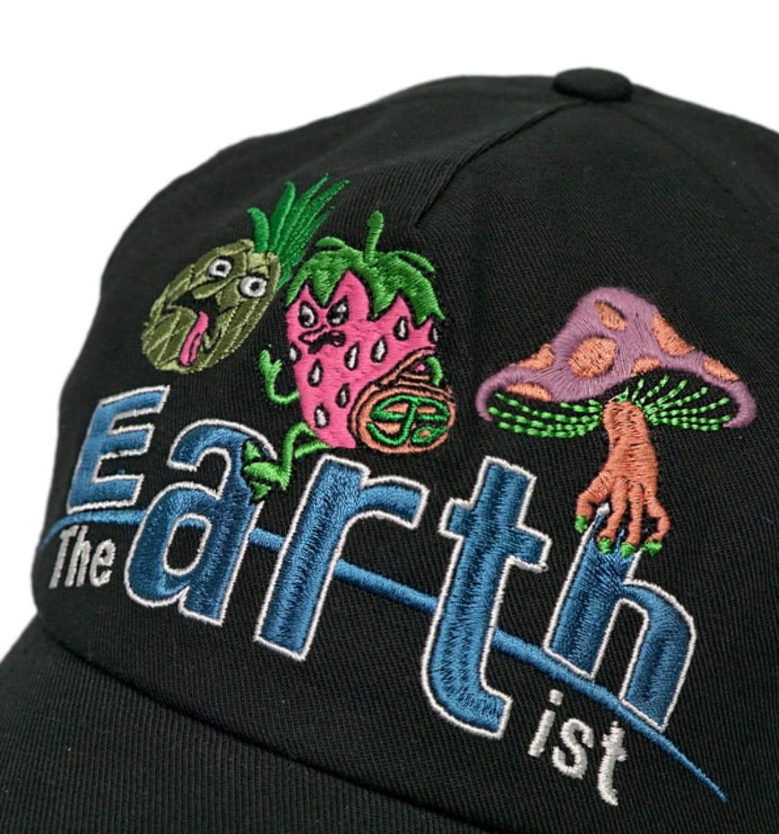 MPQ Earth Artist Cap 팝니다 ! 상품이미지2