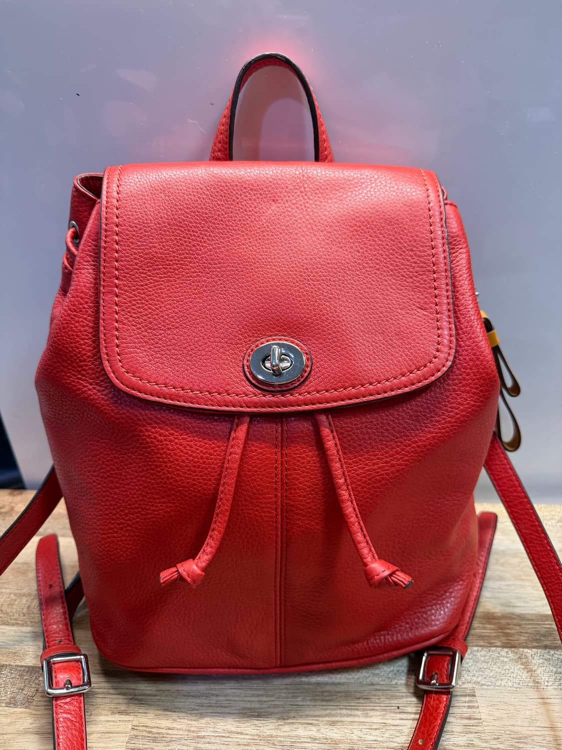 Coach Parker Backpack Tearose 코치 파커 백팩 상품이미지1