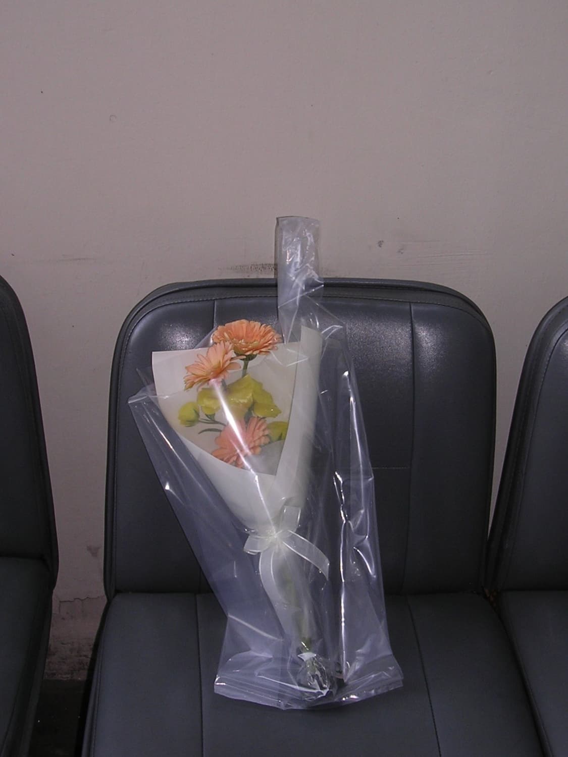 (작례o) 니콘 쿨픽스 3100 디카 상품이미지10