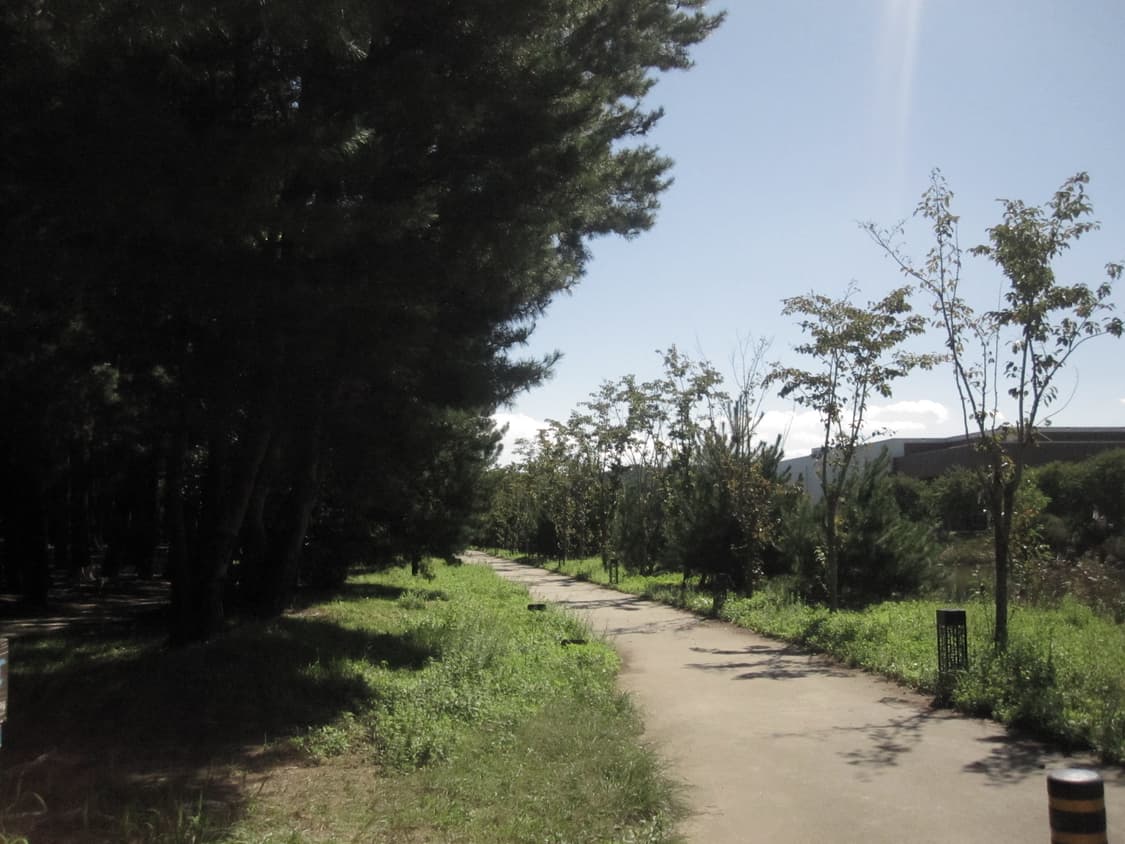 [작례포함] 캐논 IXUS 100 IS 디지털 카메라 상품이미지5