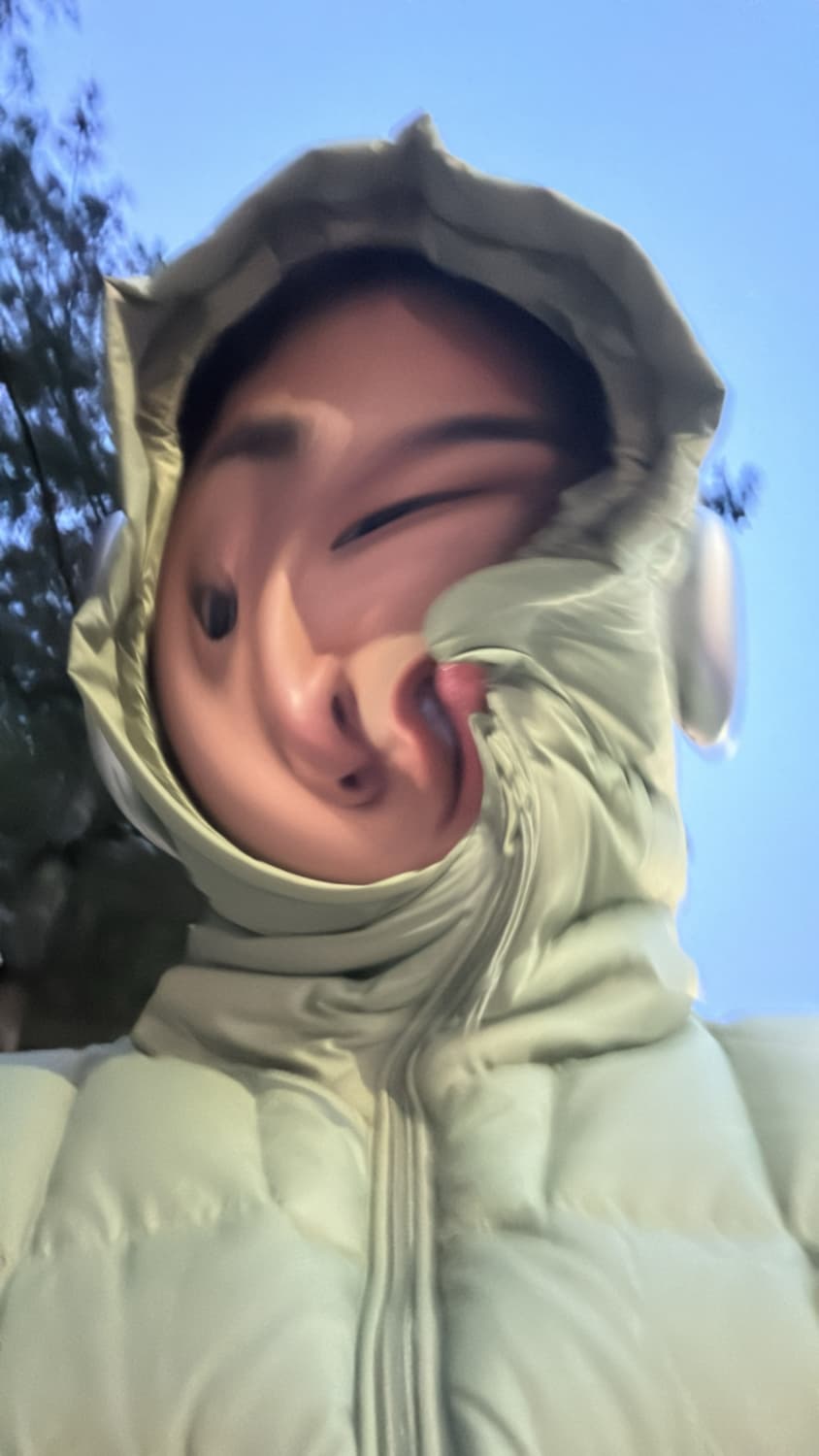 디네댓 다운 풀오버 L 상품이미지1