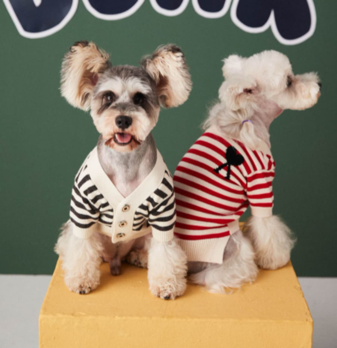 블랙스트라이프 강아지 니트 가디건 상품이미지4