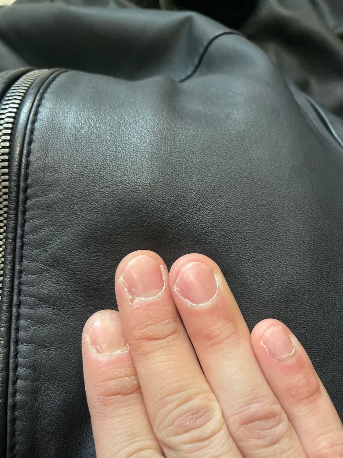 [52] SOLID HOMME 2중 지퍼 레이어드 양가죽 레더 자켓 상품이미지10