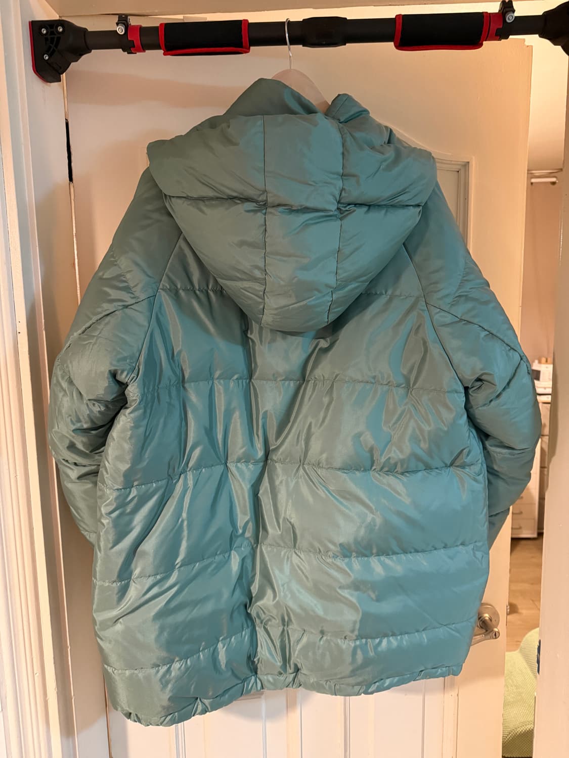 (3) visvim 24fw kodiak light green 상품이미지2