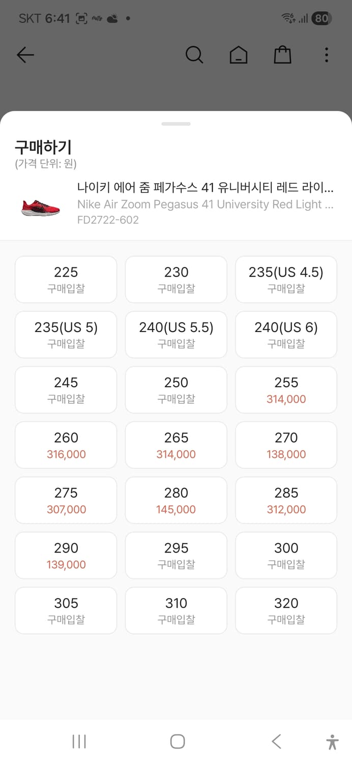 나이키 에어 줌 페가수스 41 유니버시티 레드 라이트 크림슨 265 상품이미지6