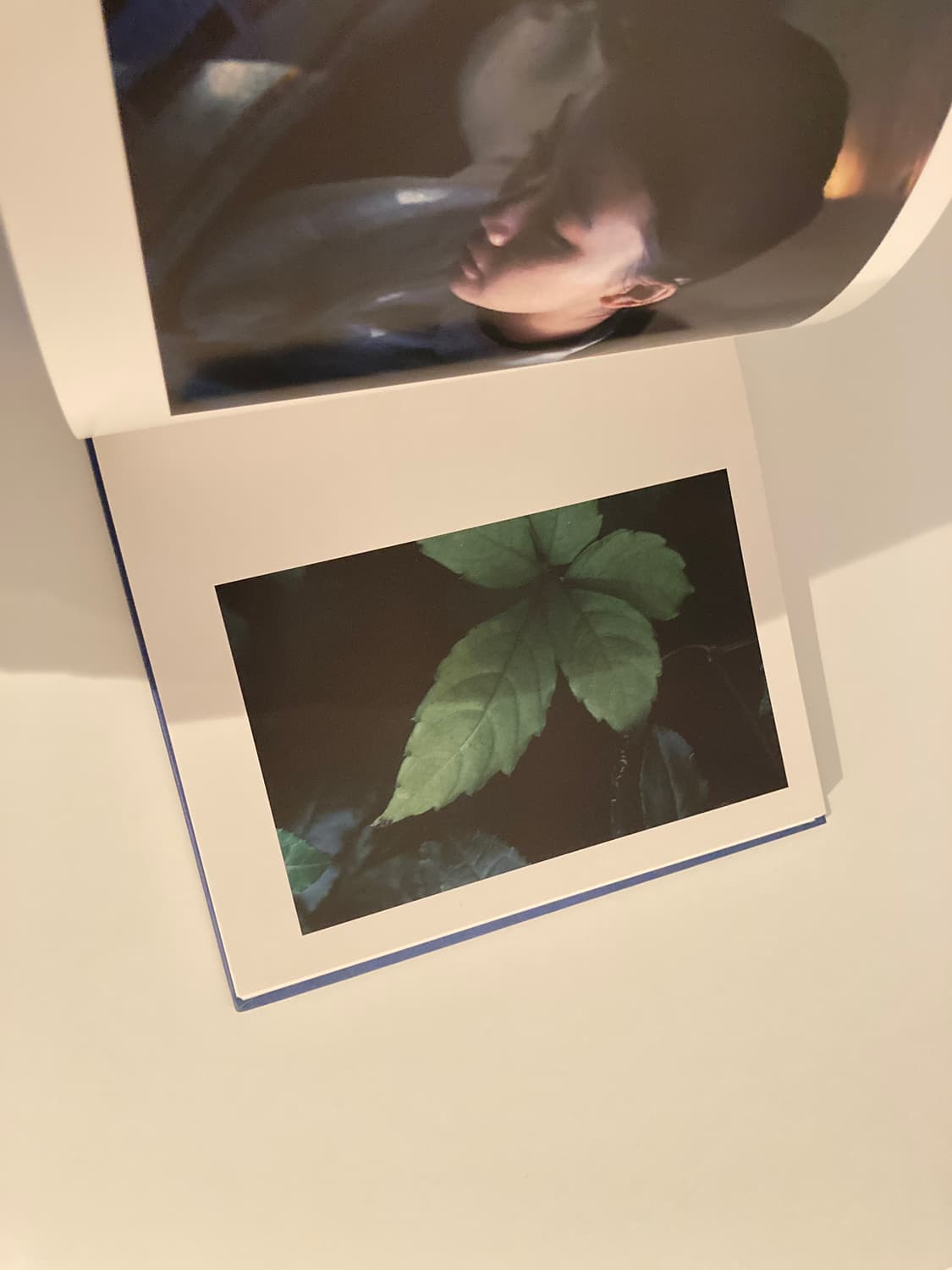 아오이유우 사진집 a dream  상품이미지5