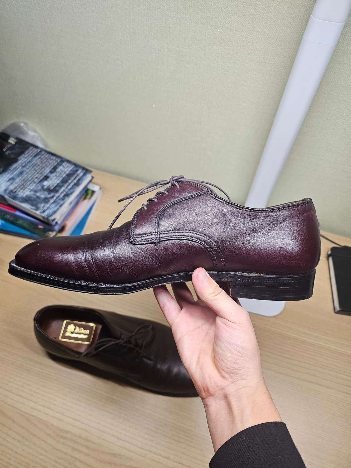 Alden 알든 플레인토 카프스킨 10D 상품이미지4