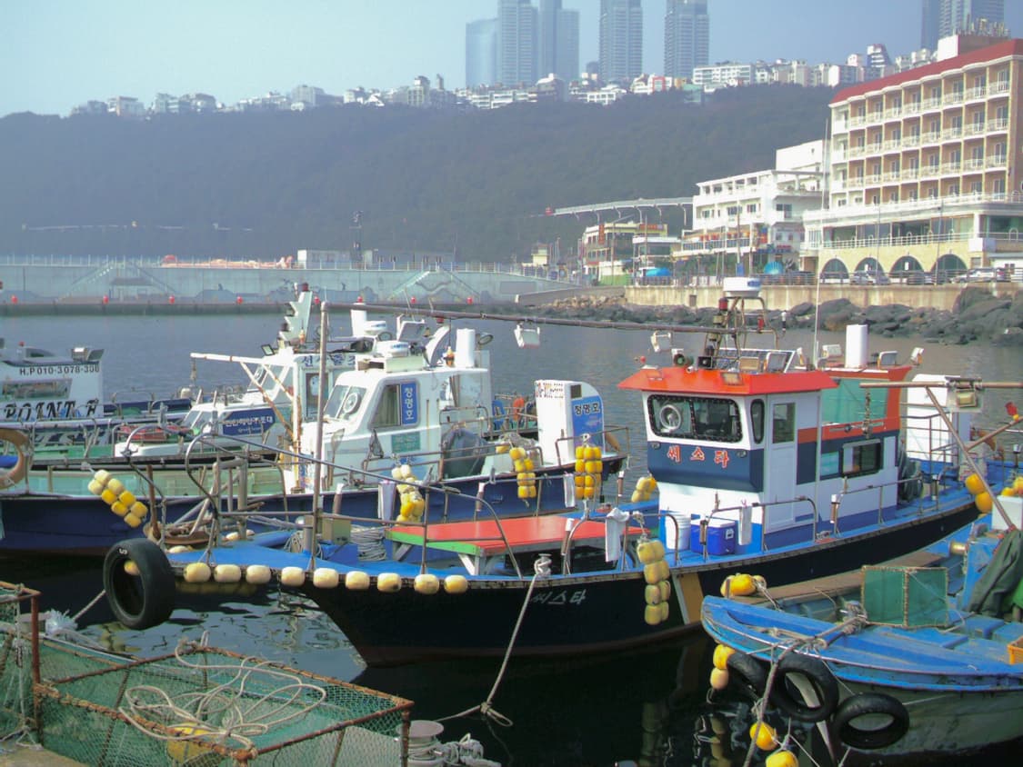 비비타 비비캠 vivitar vivicam 3785 상품이미지8