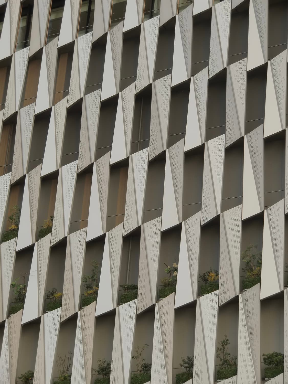 카시오 엑슬림 h-10 작례O 상품이미지7