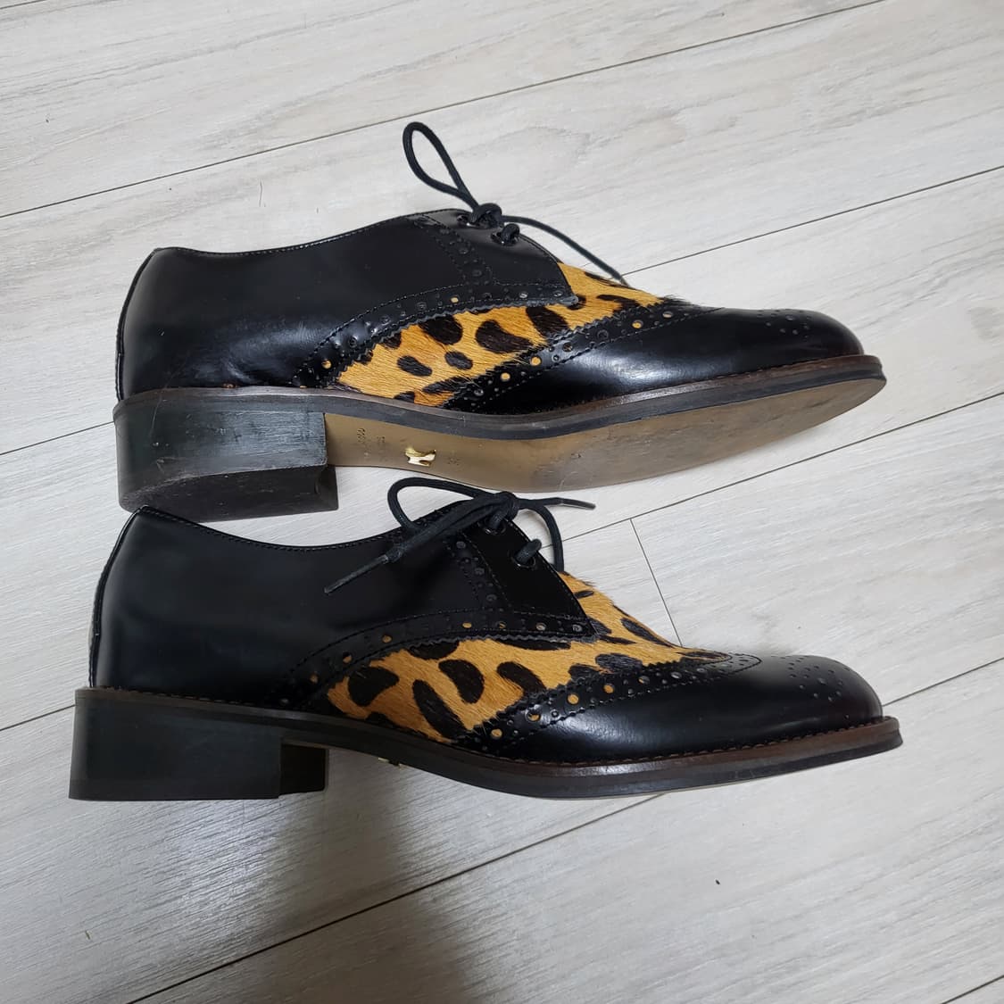 (240) 쇼쉬르라팡 송치 윙팁 레오파드 구드 상품이미지2