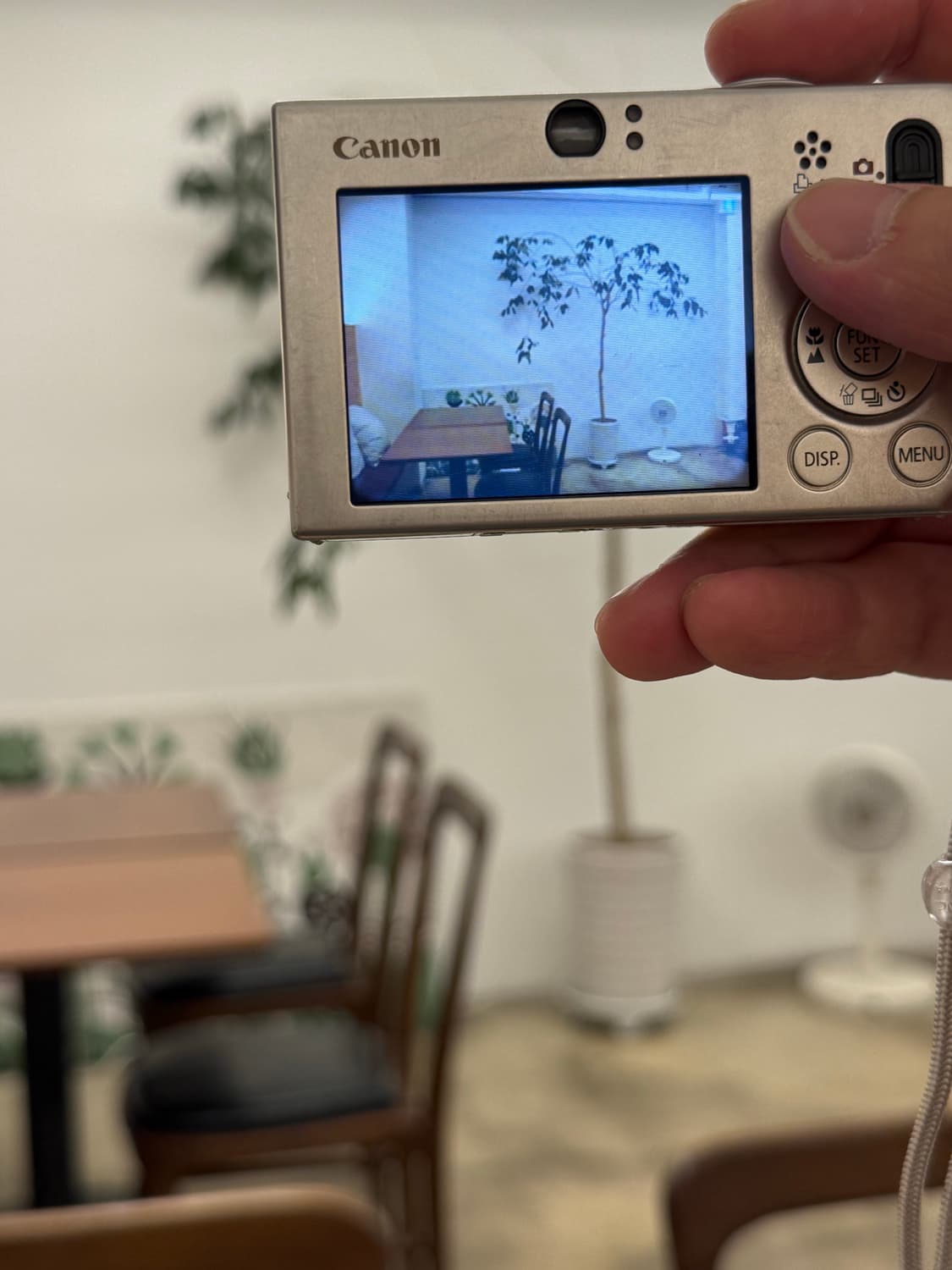 강민경 디카 익서스 70=익시 10 작례 o 상품이미지9