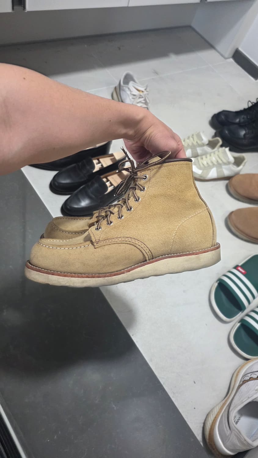 9D 사이즈 레드윙 8833 판매합니다
 상품이미지9