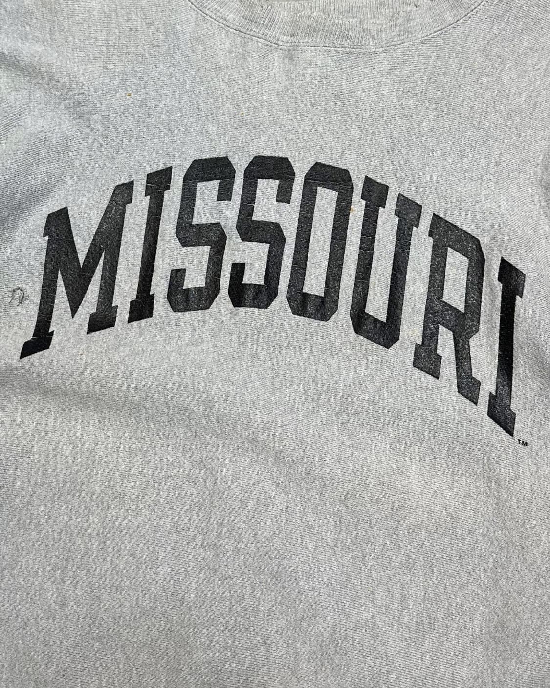 Old 챔피온 리버스위브 헤비 데미지 스웻 셔츠 상품이미지3