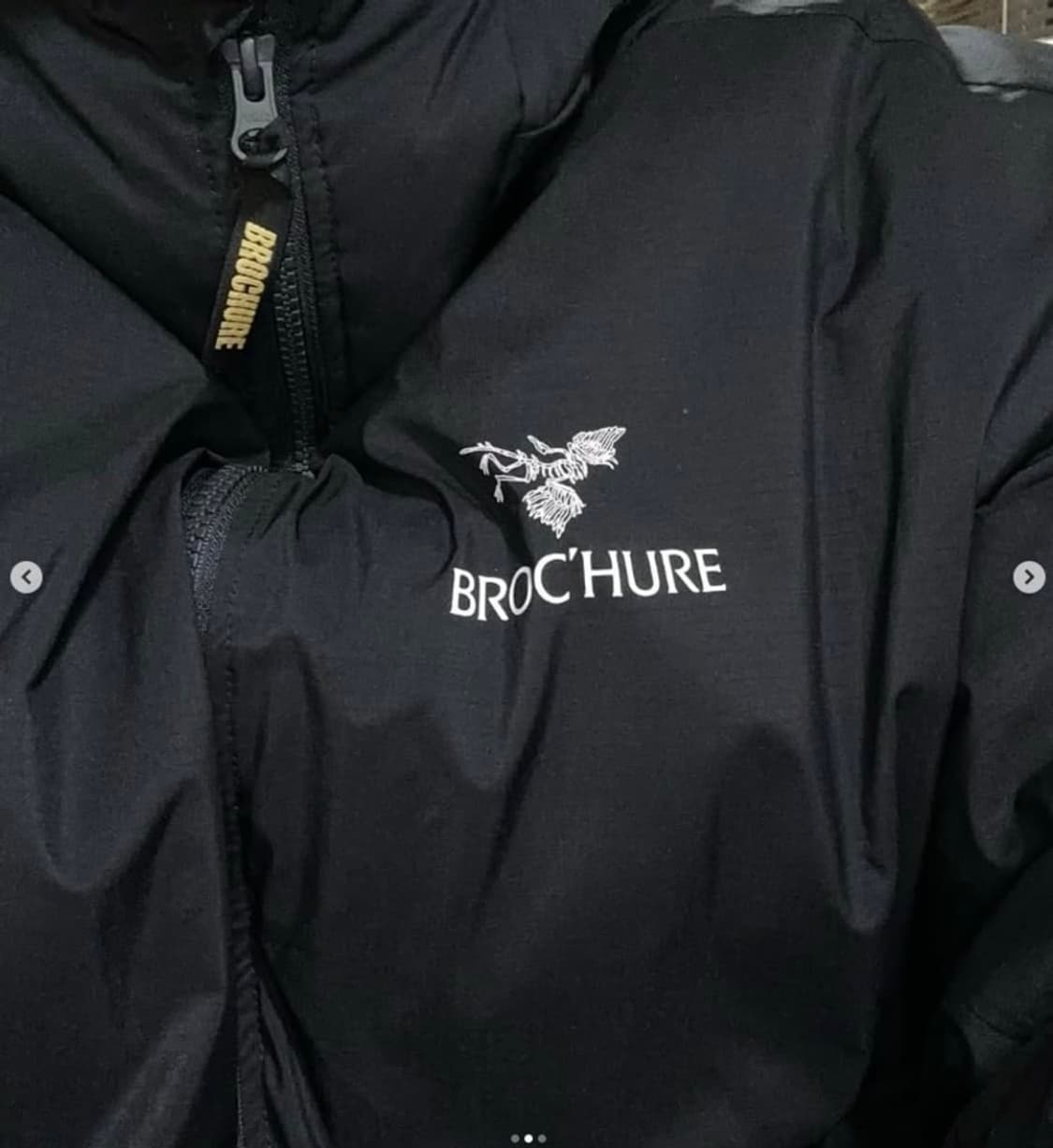 Brochure x Alwayth ARGENTUM 후디 다운패딩 L 상품이미지5