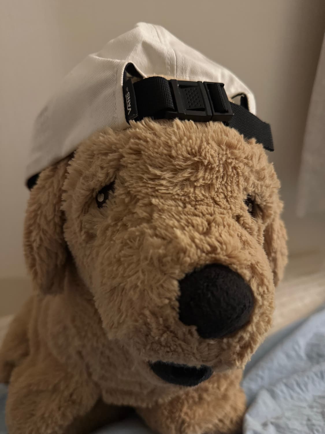 Vans 캠프캡  상품이미지2