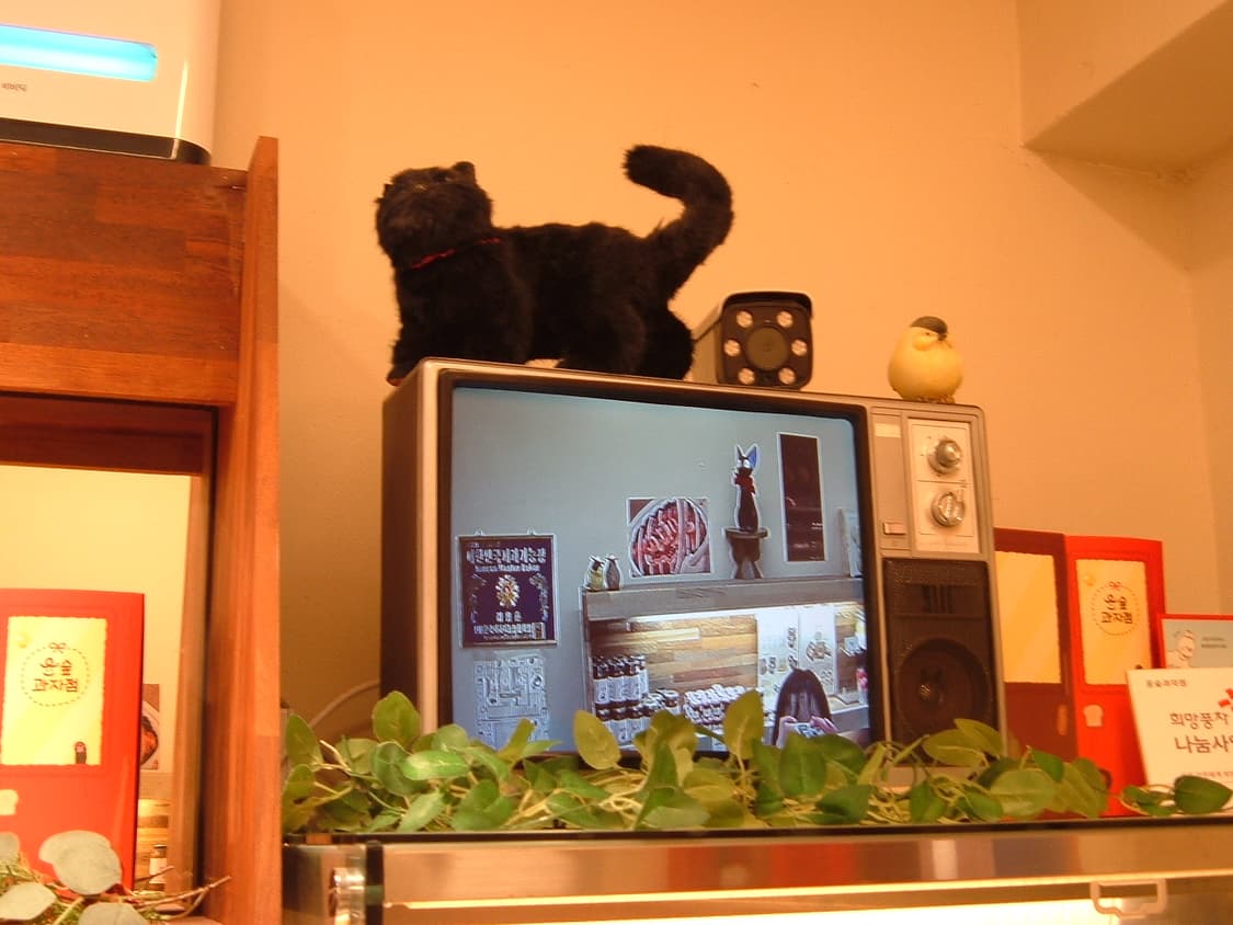 (XD 16MB 포함) 후지필름 파인픽스 a330 상품이미지5