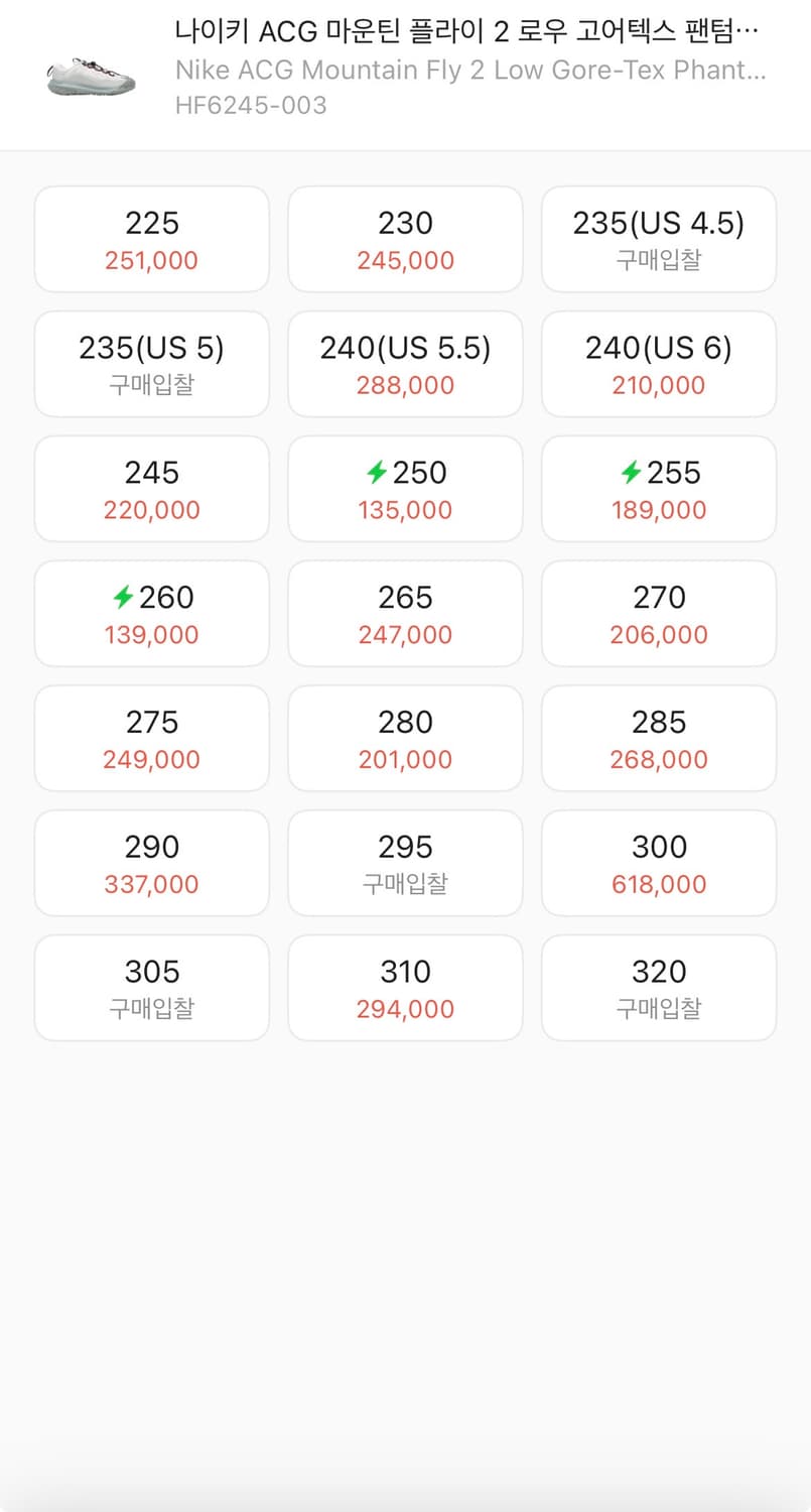 나이키 acg 마운틴 플라이 상품이미지3