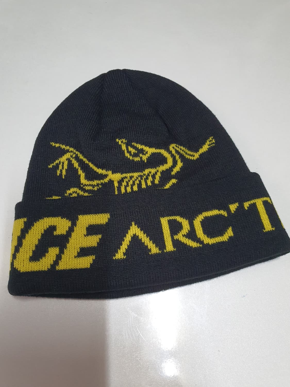 아크테릭스 팔라스 비니 상품이미지1