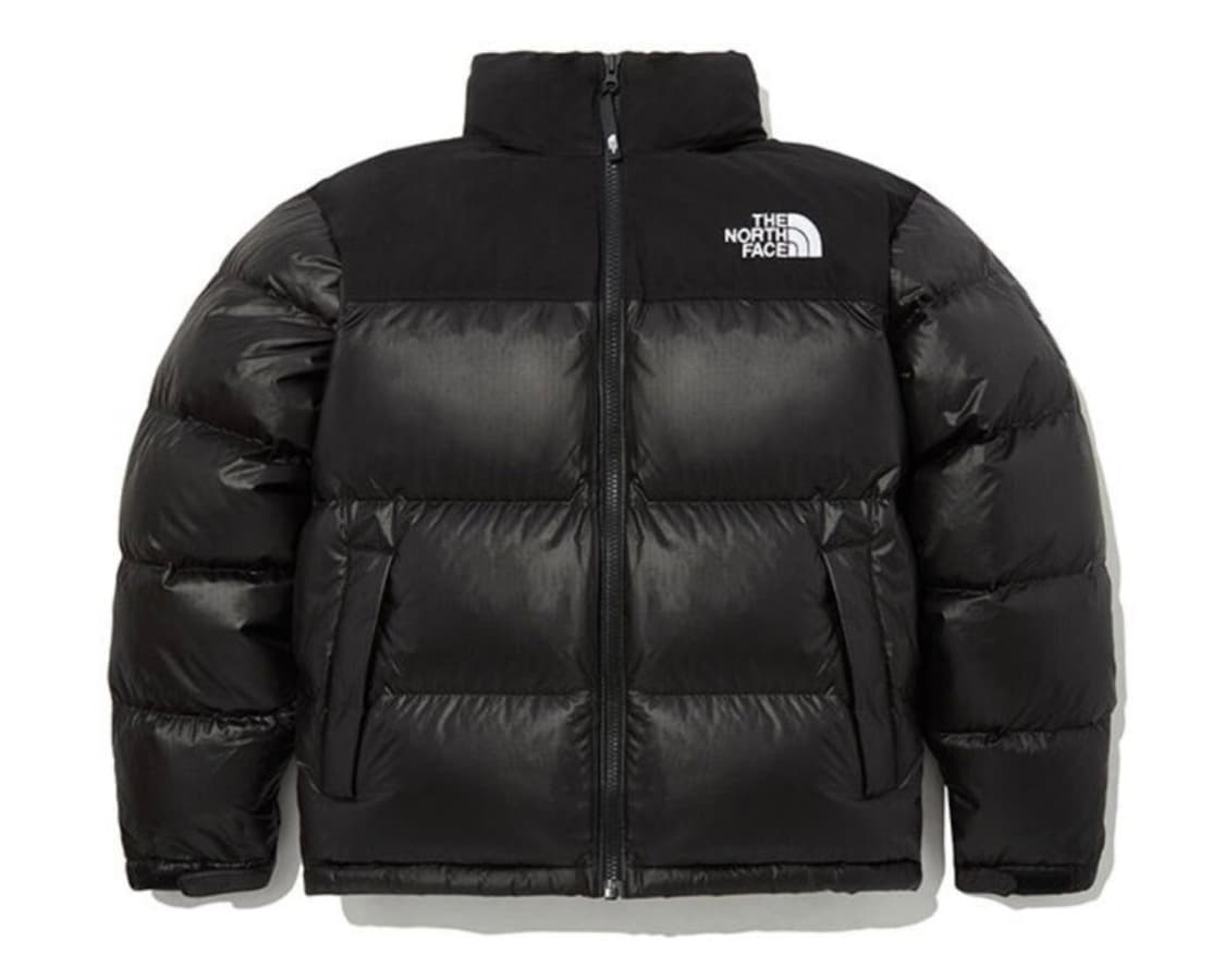 (새상품) 노스페이스 노벨티 눕시 다운 자켓 NJ1DP62J 상품이미지1