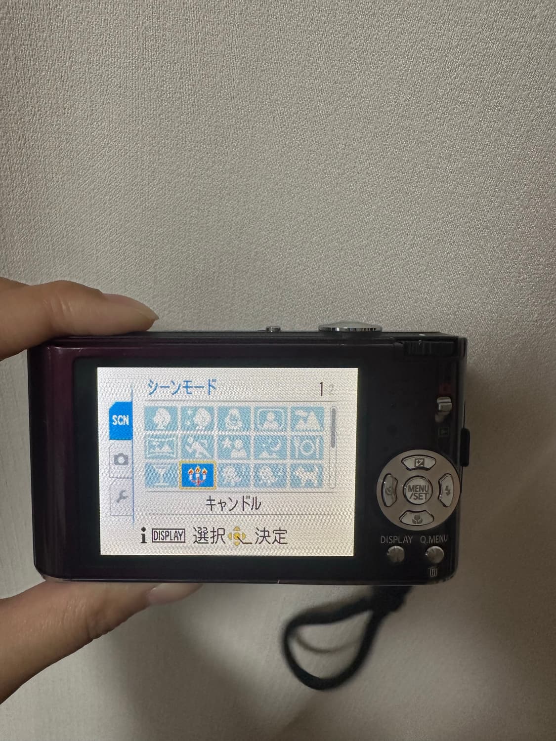 파나소닉 DMC-FX60 디지털카메라(작례o) 상품이미지8